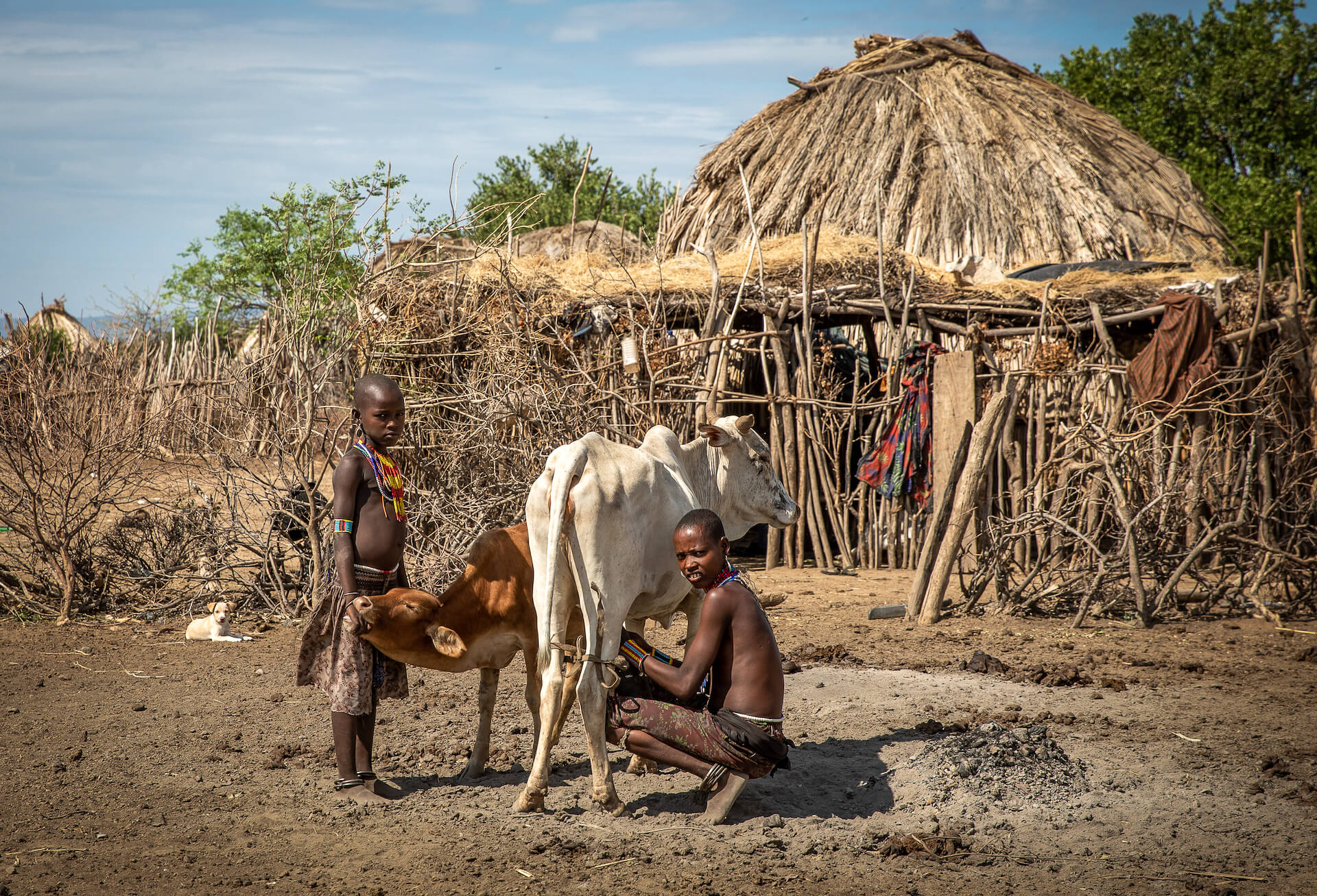 Země býků - Kmen Arbore, Jižní Etiopie | Planeta lidí