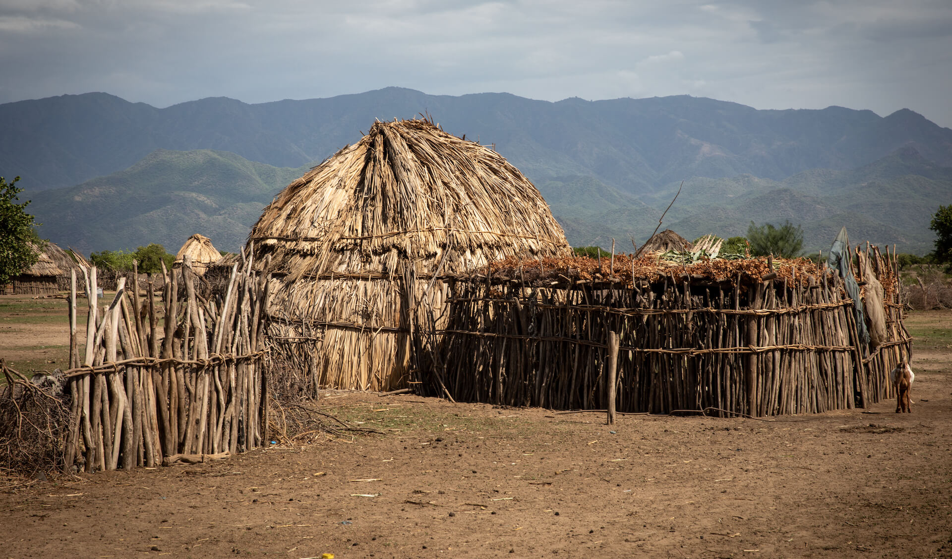 Vesnice Arbore - Planeta lidí