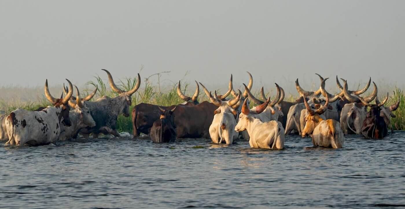 Buduma, Yedina - Čad - Čadské jezero | David Čečelský | Planeta lidí