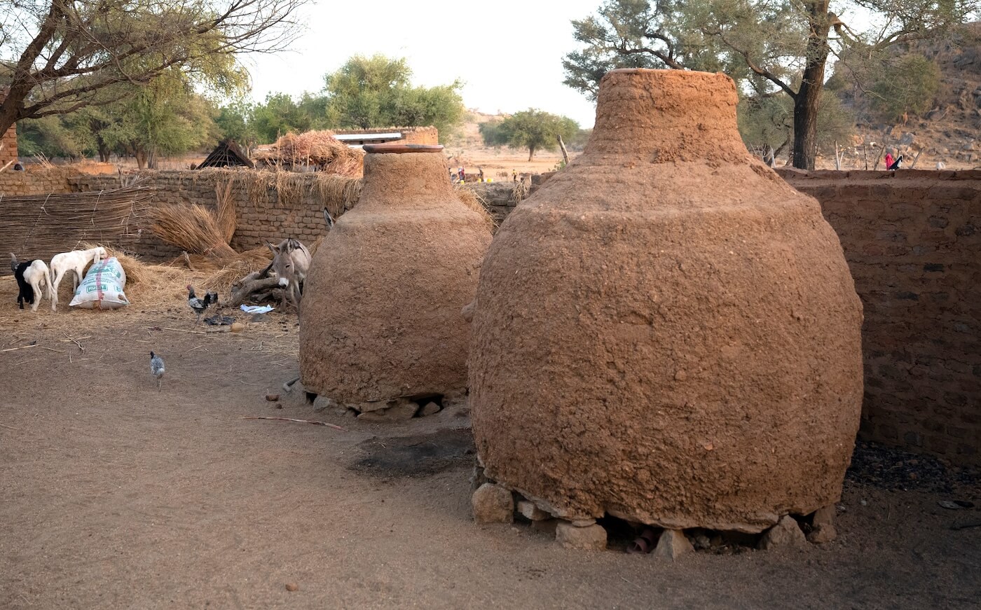 Dangaleat - Hadjarai - Lidé z hor | David Čečelský | Planeta lidí