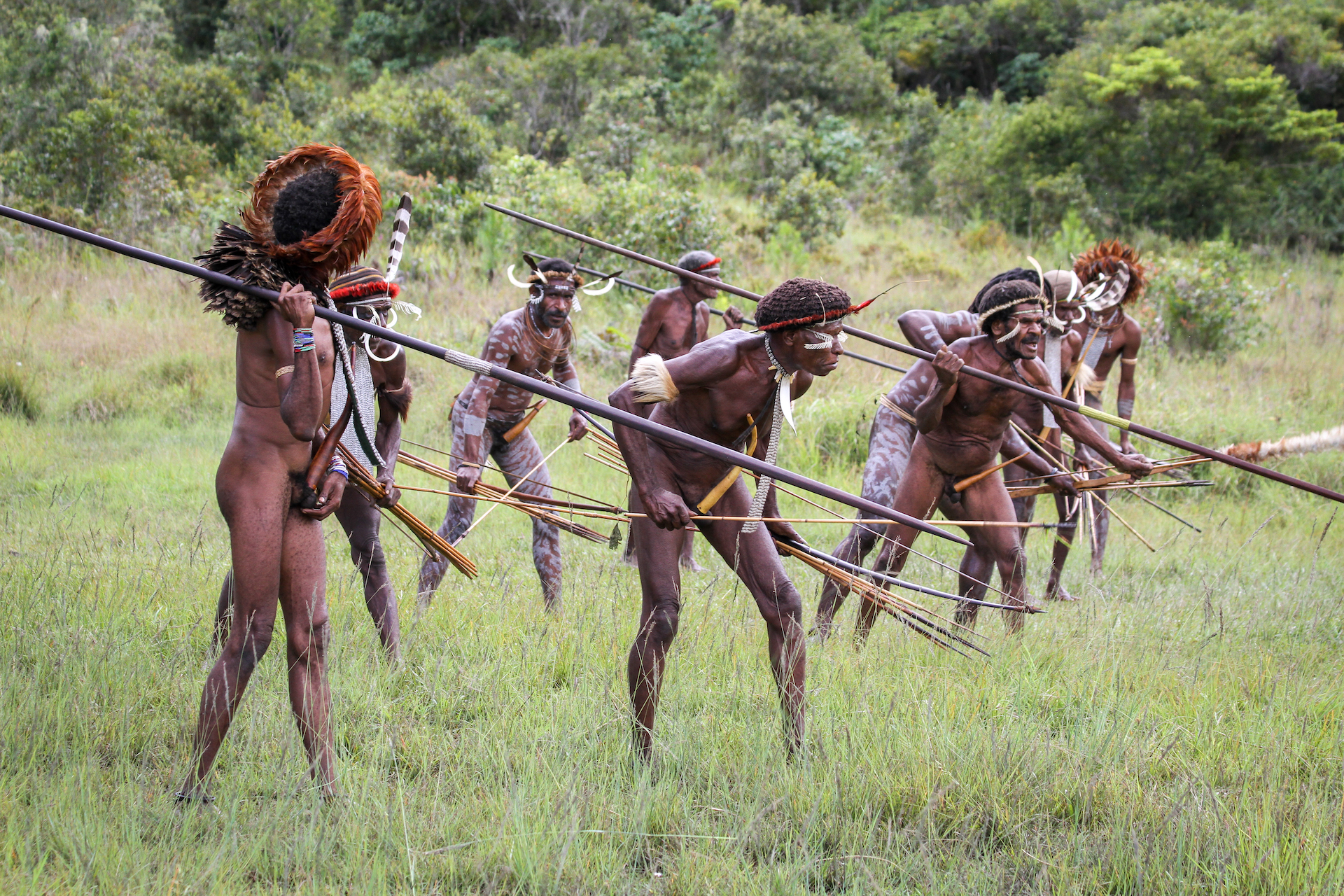 Umění války, Daniové - Planeta lidí