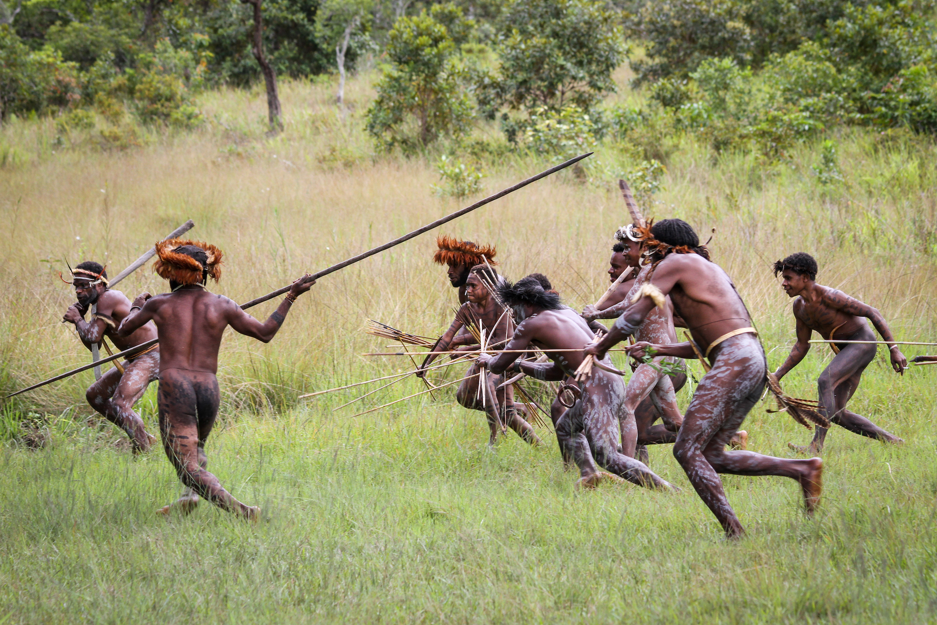 Umění války, Daniové - Planeta lidí
