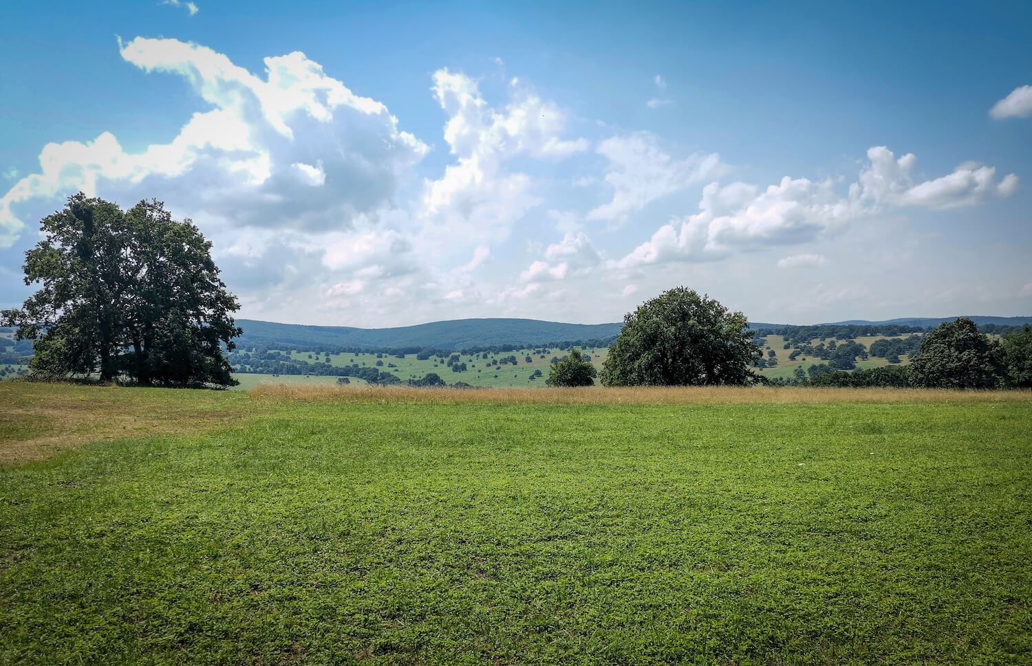 HORŇÁCKÉ SLAVNOSTI – jedinečná a krásná oslava lidového stále živého folklóru | Planeta lidí