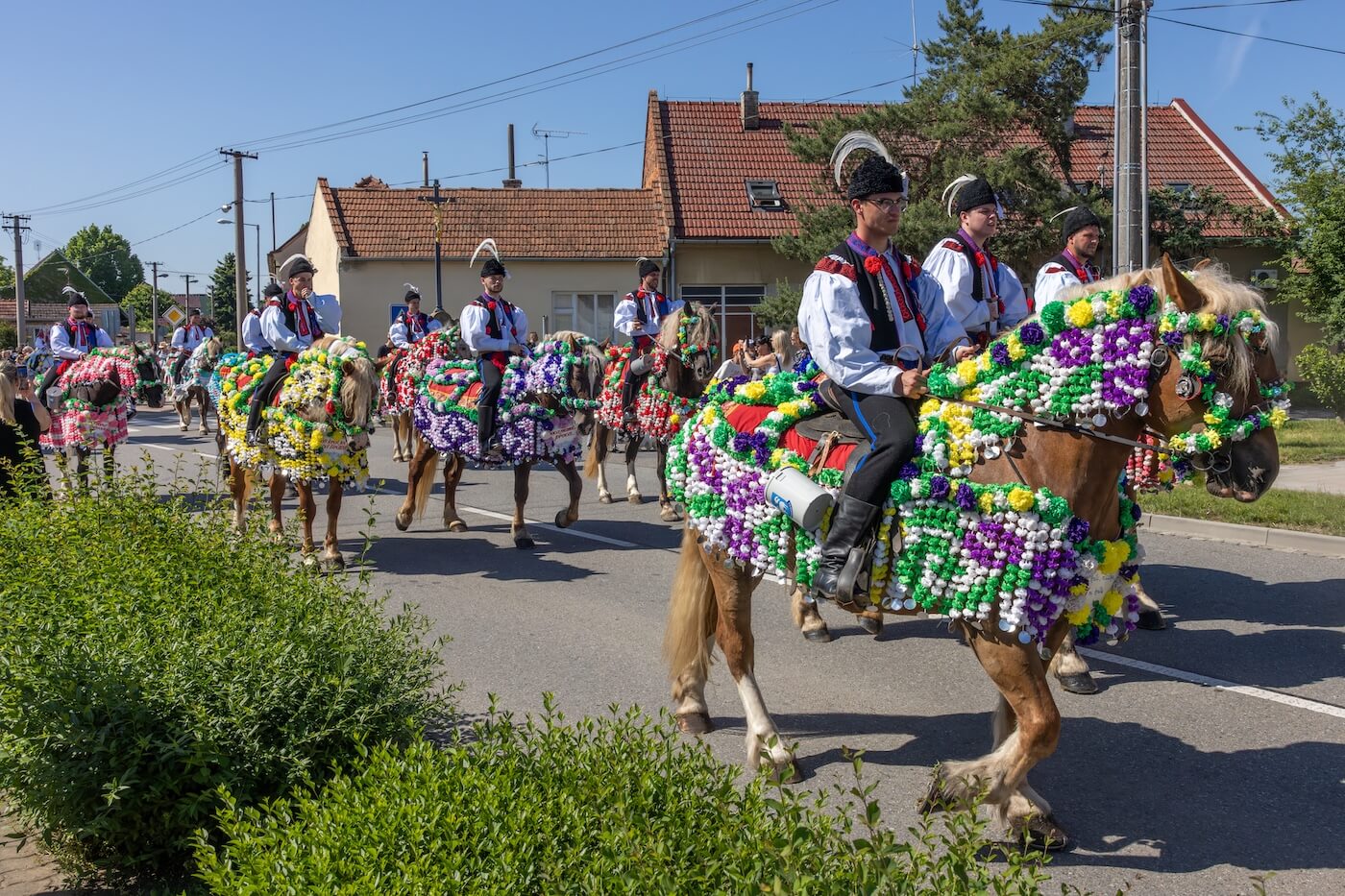 Jízda králů Kunovice 2026 - České tradice | Planeta lidí