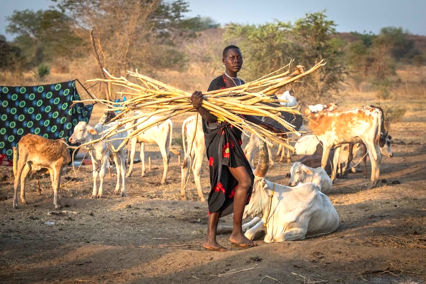 Strážci dobytka - Mundari, Jižní Súdán | Planeta lidí