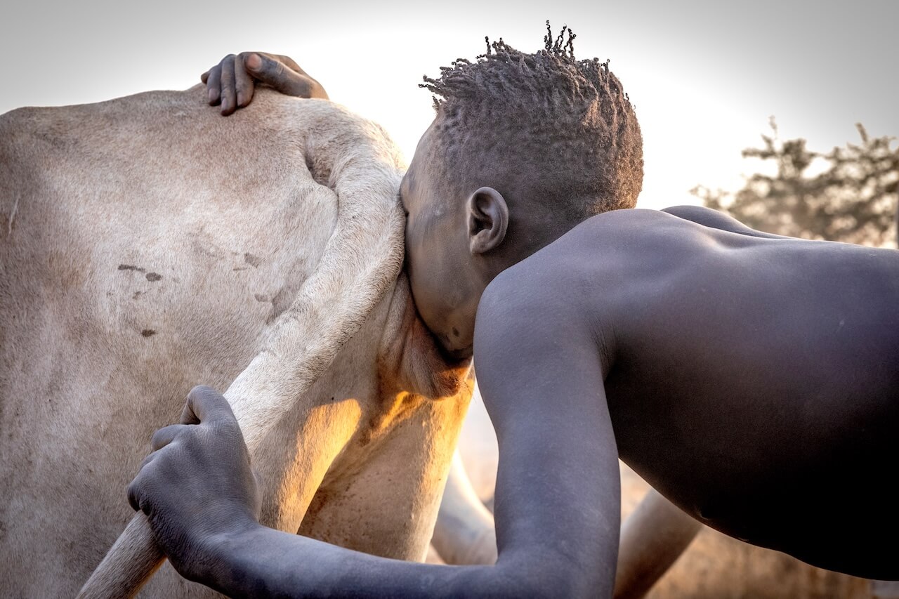 Strážci dobytka - Mundari, Jižní Súdán | Planeta lidí