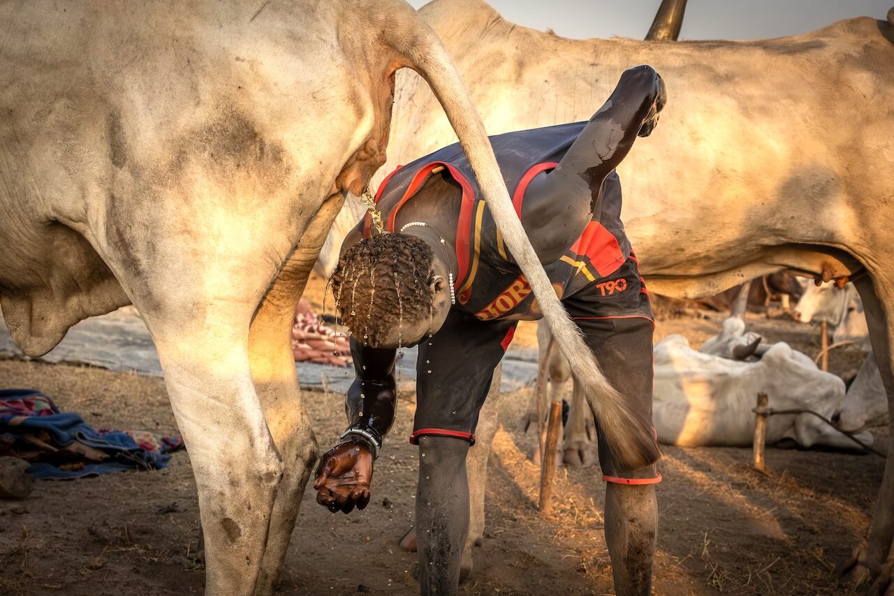 Strážci dobytka - Mundari, Jižní Súdán | Planeta lidí