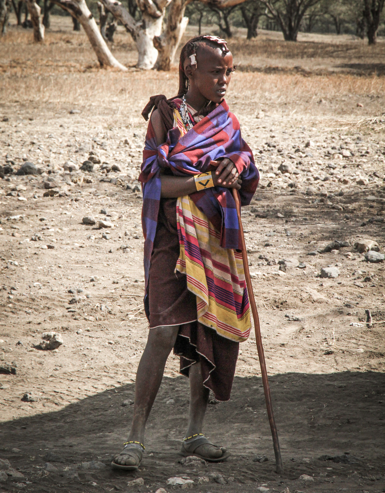 Masajský chlapec, Planeta lidí