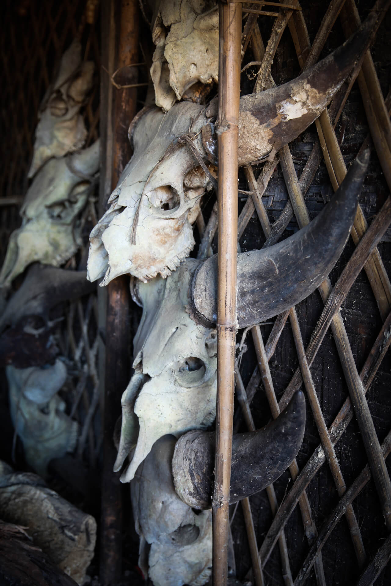 Lebky obětovaných zvířat, Nagaland - Konyakové | Planeta lidí