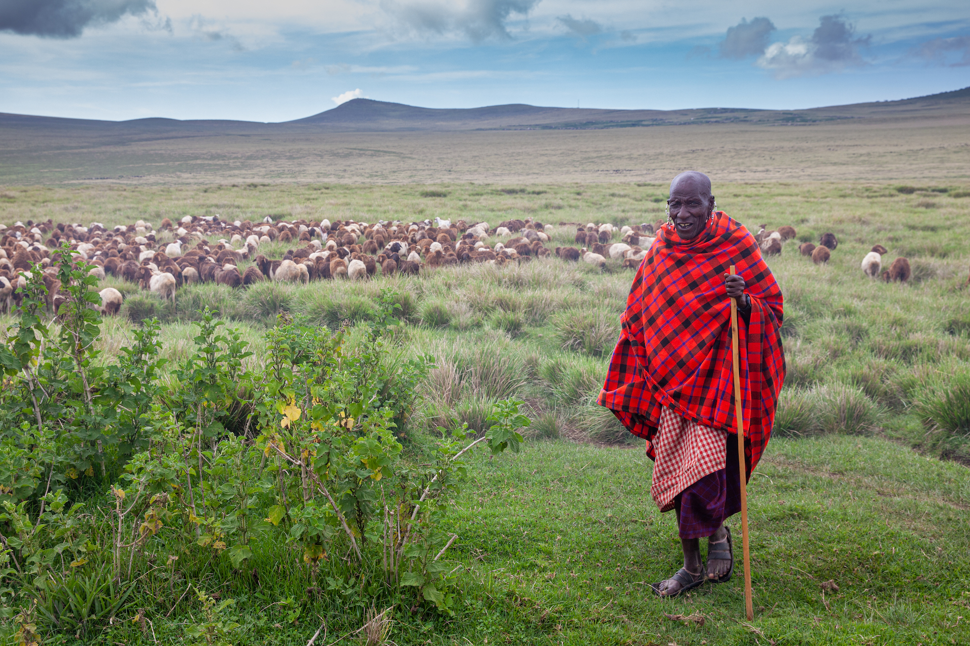 Masajský pastevec, Bulati - Planeta lidí