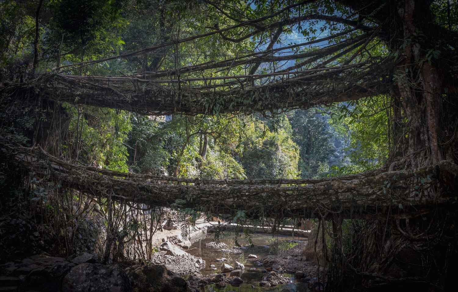 Dvoupodlažní most, Meghalaya | Planeta lidí