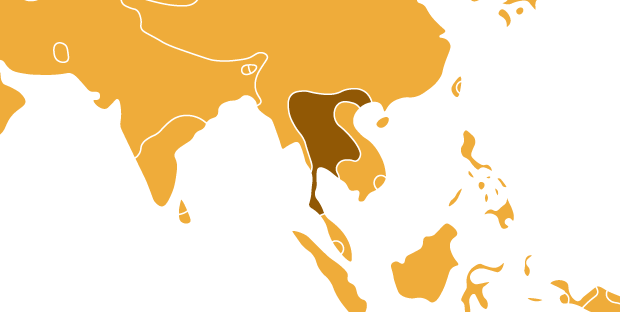 Tajsko-kadajská