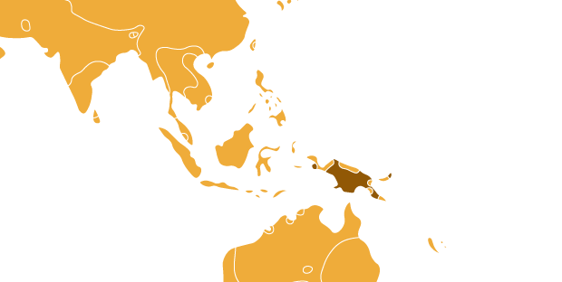Papuánská