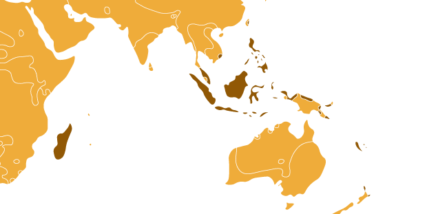 Austronéská