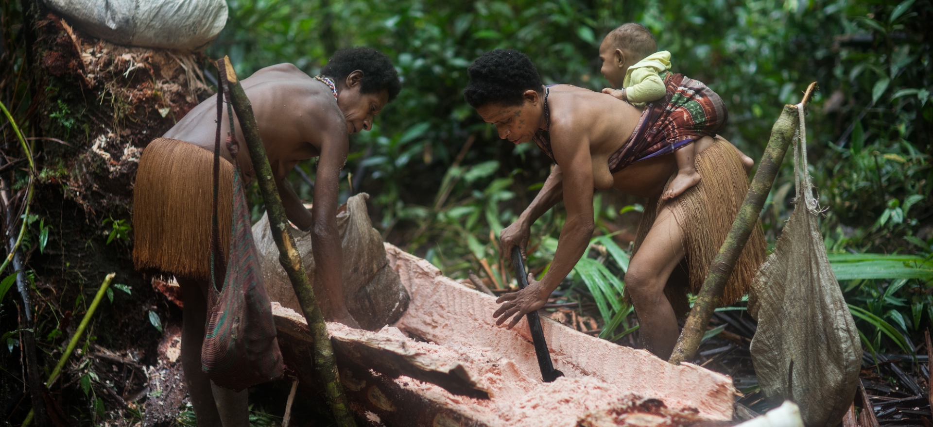 Ságo, Kmen Korowai - Západní Papua - Planeta lidí