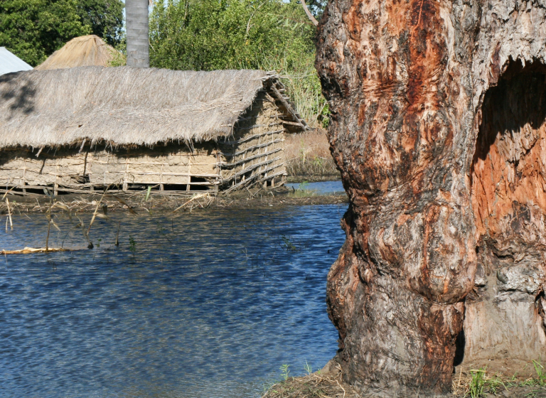 Jízda krále - Kuomboka, Planeta lidí |David Švejnoha