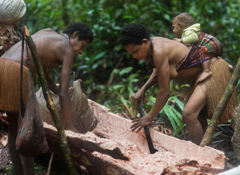 Ságo, Kmen Korowai - Západní Papua - Planeta lidí