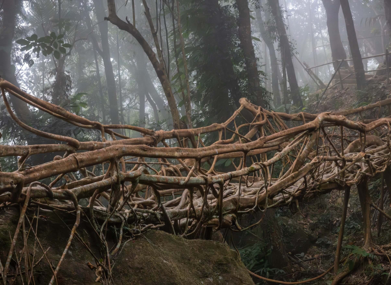 Kmen Khasi, Meghalaya - Indie | Planeta lidí