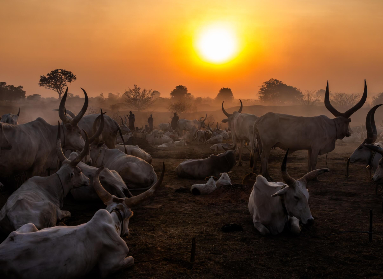 Kmen Mundari - Jižní Súdán | Planeta lidí