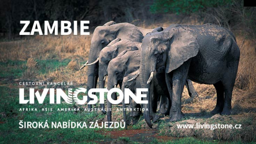Cestovní kancelář Livingstone - Nejpestřejší Exotika | Planeta lidí