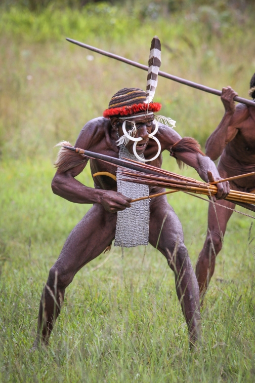 Umění války, Daniové - Planeta lidí - David Švejnoha