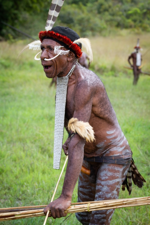 Umění války, Daniové - Planeta lidí - David Švejnoha