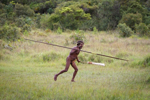 Umění války, Daniové - Planeta lidí - David Švejnoha