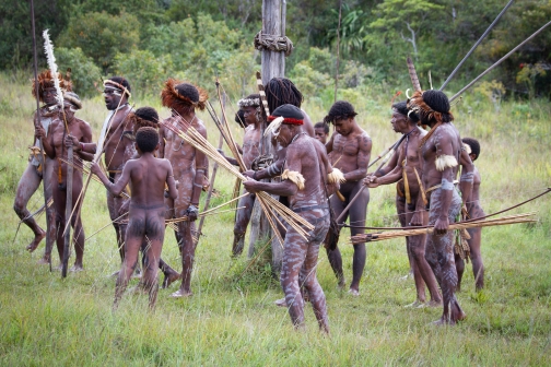 Umění války, Daniové - Planeta lidí - David Švejnoha