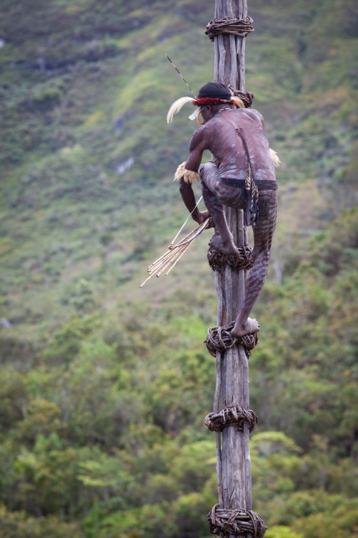 Umění války, Daniové - Planeta lidí - David Švejnoha