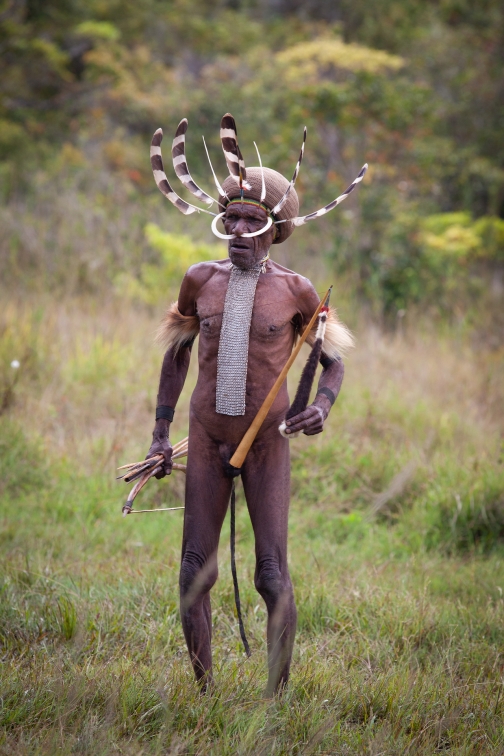 Umění války, Daniové - Planeta lidí - David Švejnoha