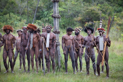 Umění války, Daniové - Planeta lidí - David Švejnoha