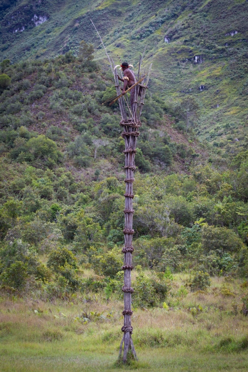 Umění války, Daniové - Planeta lidí - David Švejnoha