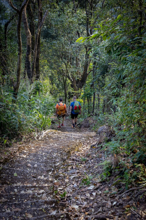 Živé mosty, Meghalaya - Cherrapunji, Meghalaya | Planeta lidí