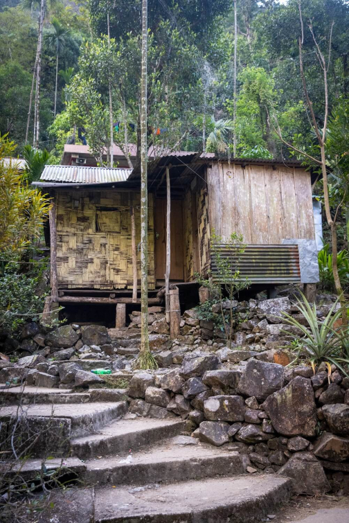 Živé mosty, Meghalaya - Cherrapunji, Meghalaya | Planeta lidí
