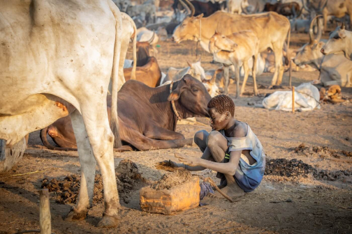 Strážci dobytka - Mundari, Jižní Súdán | Planeta lidí