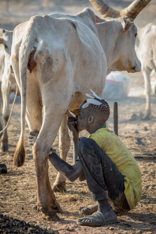 Strážci dobytka - Mundari, Jižní Súdán | Planeta lidí