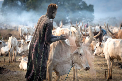 Strážci dobytka - Mundari, Jižní Súdán | Planeta lidí