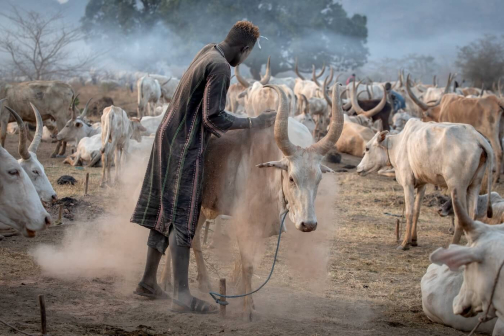 Strážci dobytka - Mundari, Jižní Súdán | Planeta lidí