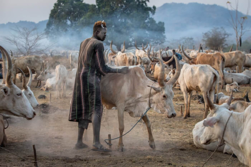 Strážci dobytka - Mundari, Jižní Súdán | Planeta lidí