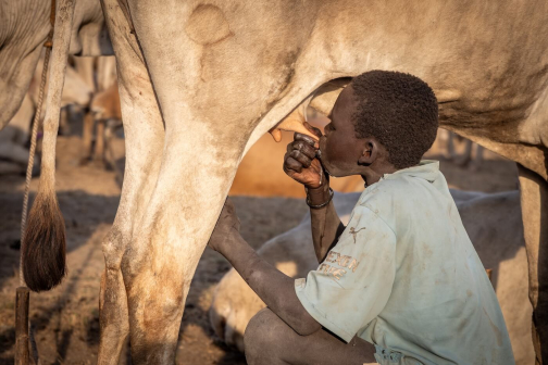 Strážci dobytka - Mundari, Jižní Súdán | Planeta lidí