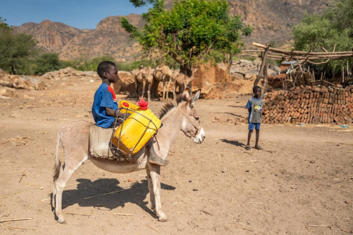 Dangaleat - Hadjarai - Lidé z hor | David Čečelský | Planeta lidí
