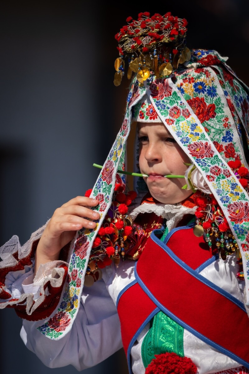 Jízda králů Kunovice 2026 - České tradice | Planeta lidí