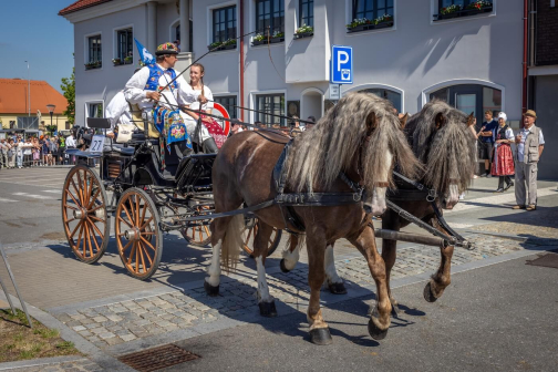 Jízda králů Kunovice 2026 - České tradice | Planeta lidí