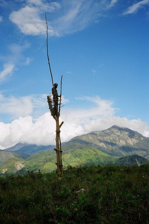 Daniové v roce 1998, Západní Papua - Miroslav Švejnoha | Planeta lidí