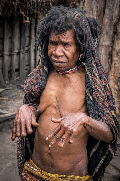 Kmen Dani, Západní Papua - David Čečelský, Planeta lidí