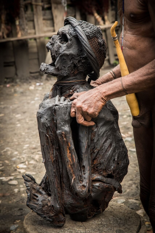 Kmen Dani, Západní Papua - David Čečelský, Planeta lidí