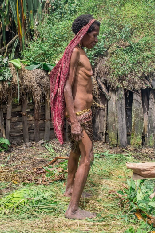 Kmen Dani, Západní Papua - David Čečelský, Planeta lidí