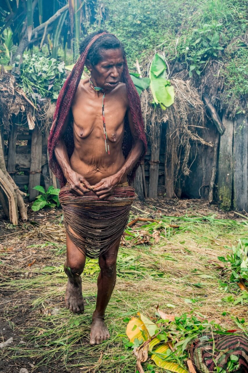 Kmen Dani, Západní Papua - David Čečelský, Planeta lidí