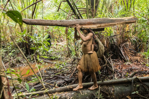 Korowajové, Západní Papua - David Čečelský - Planeta lidí