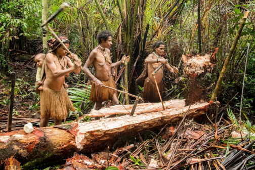 Korowajové, Západní Papua - David Čečelský - Planeta lidí